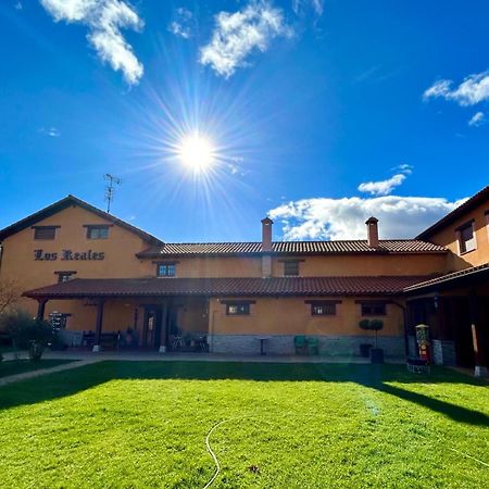 Los Reales Carrizo de la Ribera Bagian luar foto