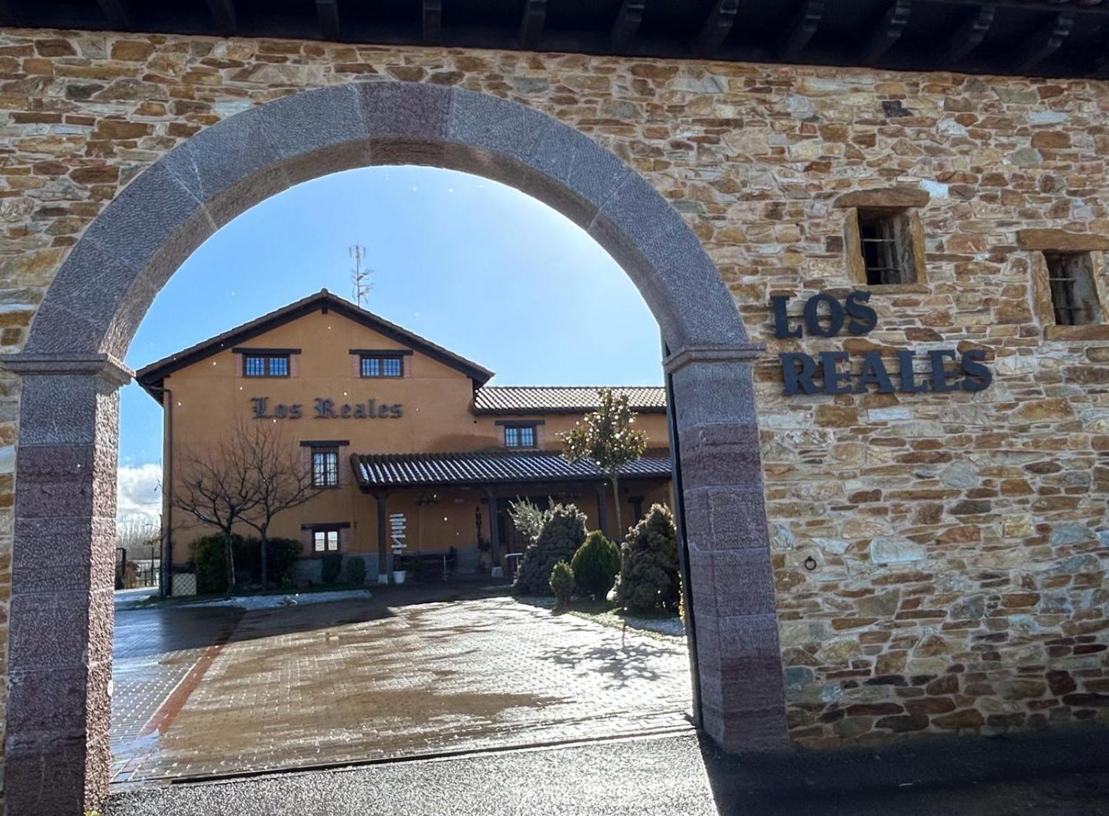 Los Reales Carrizo de la Ribera Bagian luar foto